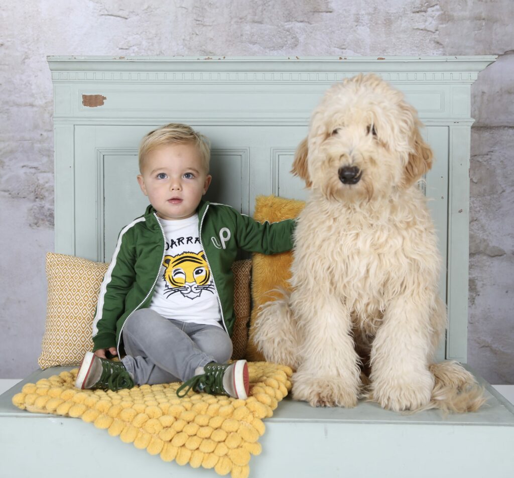 Peuter naast een grote witte labradoodle op een bankje in de studio