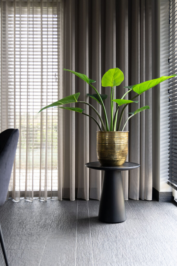 Plant in een gouden pot voor een raam met lamellen, interieurstyling