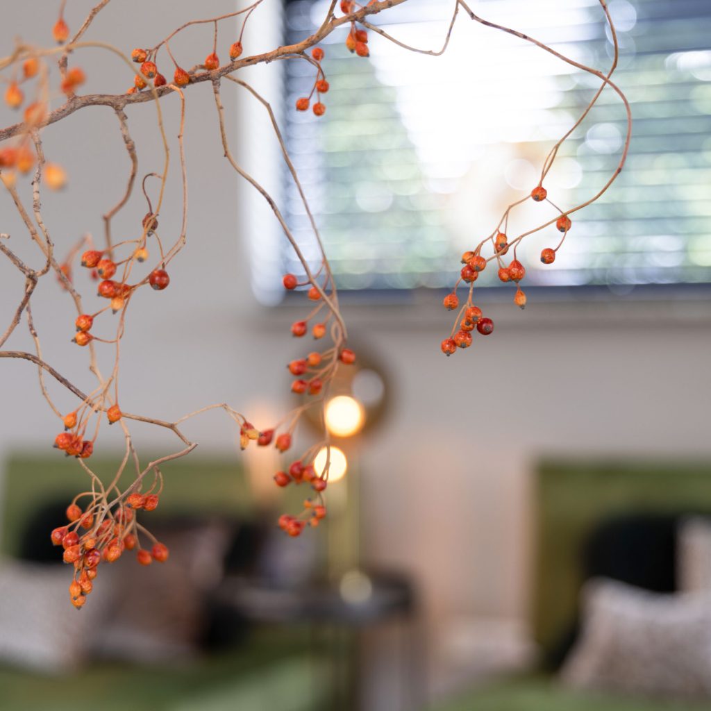 Fotografie - Suus' FotoSjop - Oldenzaal - Hengelo - Enschede - Lutte - Denekamp - Almelo - Fotograaf - Bedrijf - Sfeer - Overzicht - Details - Reportage - Interieur, Fotografie, Woningen, Woning, interieur, lifestyle, Suus Fotosjop